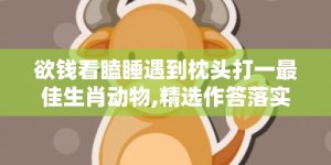 欲钱看瞌睡遇到枕头打一最佳生肖动物,精选作答落实