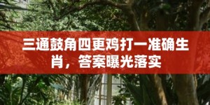 三通鼓角四更鸡打一准确生肖，答案曝光落实