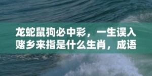 龙蛇鼠狗必中彩，一生误入赌乡来指是什么生肖，成语释义解释落实