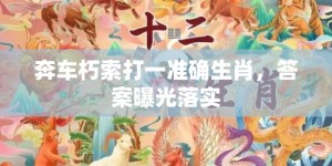 奔车朽索打一准确生肖，答案曝光落实