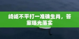 崎岖不平打一准确生肖，答案曝光落实