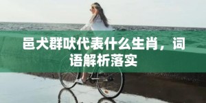 邑犬群吠代表什么生肖，词语解析落实