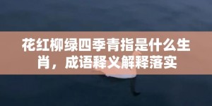 花红柳绿四季青指是什么生肖，成语释义解释落实