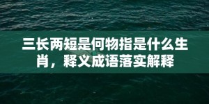 三长两短是何物指是什么生肖，释义成语落实解释