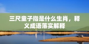 三尺童子指是什么生肖，释义成语落实解释