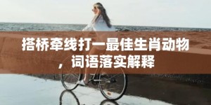 搭桥牵线打一最佳生肖动物，词语落实解释