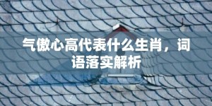 气傲心高代表什么生肖，词语落实解析