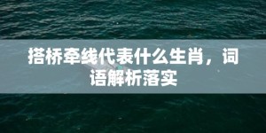 搭桥牵线代表什么生肖，词语解析落实