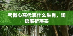 气傲心高代表什么生肖，词语解析落实