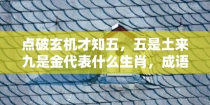 点破玄机才知五，五是土来九是金代表什么生肖，成语科学释义落实