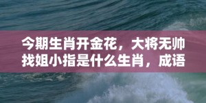 今期生肖开金花，大将无帅找姐小指是什么生肖，成语释义解释落实