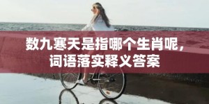 数九寒天是指哪个生肖呢，词语落实释义答案