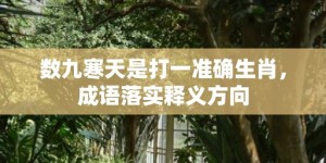 数九寒天是打一准确生肖，成语落实释义方向