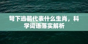 弩下逃箭代表什么生肖，科学词语落实解析