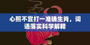 心照不宣打一准确生肖，词语落实科学解释