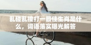 乱碰乱撞打一最佳生肖是什么，词语落实曝光解答