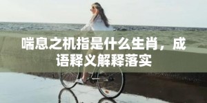 喘息之机指是什么生肖，成语释义解释落实