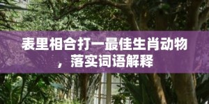 表里相合打一最佳生肖动物，落实词语解释