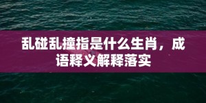 乱碰乱撞指是什么生肖，成语释义解释落实