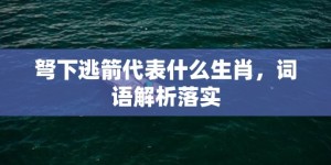 弩下逃箭代表什么生肖，词语解析落实