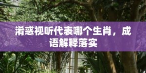 淆惑视听代表哪个生肖，成语解释落实