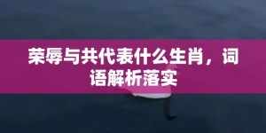 荣辱与共代表什么生肖，词语解析落实