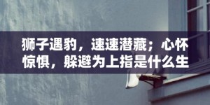 狮子遇豹，速速潜藏；心怀惊惧，躲避为上指是什么生肖，成语释义解释落实