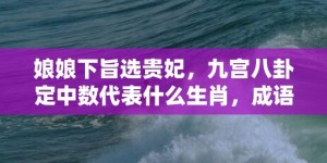 娘娘下旨选贵妃，九宫八卦定中数代表什么生肖，成语解释落实