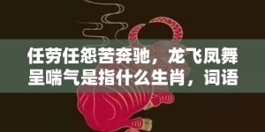 任劳任怨苦奔驰，龙飞凤舞呈喘气是指什么生肖，词语释义落实解释