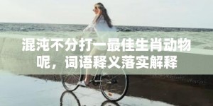 混沌不分打一最佳生肖动物呢，词语释义落实解释