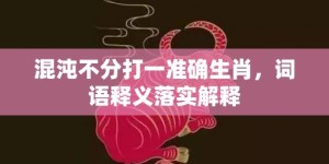 混沌不分打一准确生肖，词语释义落实解释