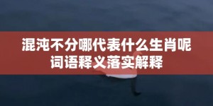 混沌不分哪代表什么生肖呢词语释义落实解释