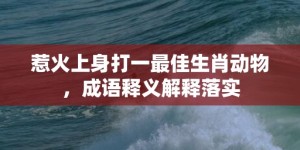 惹火上身打一最佳生肖动物，成语释义解释落实