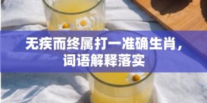 无疾而终属打一准确生肖，词语解释落实