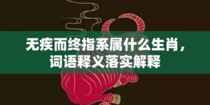 无疾而终指系属什么生肖，词语释义落实解释