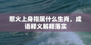 惹火上身指属什么生肖，成语释义解释落实