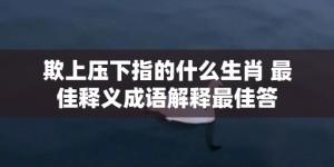 欺上压下指的什么生肖 最佳释义成语解释最佳答