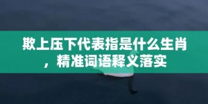 欺上压下代表指是什么生肖，精准词语释义落实