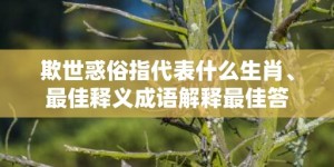 欺世惑俗指代表什么生肖、最佳释义成语解释最佳答