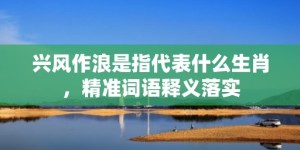 兴风作浪是指代表什么生肖，精准词语释义落实