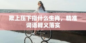 欺上压下指什么生肖，精准词语释义落实