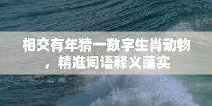 相交有年猜一数字生肖动物，精准词语释义落实