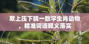 欺上压下猜一数字生肖动物，精准词语释义落实