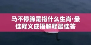 马不停蹄是指什么生肖·最佳释义成语解释最佳答