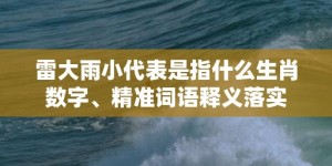 雷大雨小代表是指什么生肖数字、精准词语释义落实