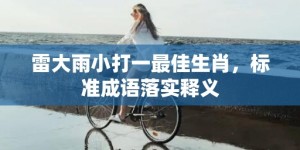 雷大雨小打一最佳生肖，标准成语落实释义