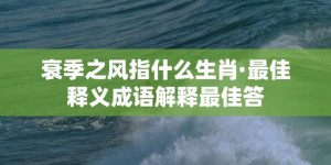 衰季之风指什么生肖·最佳释义成语解释最佳答