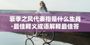 衰季之风代表指是什么生肖·最佳释义成语解释最佳答