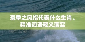 衰季之风指代表什么生肖、精准词语释义落实