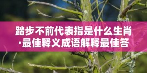 踏步不前代表指是什么生肖·最佳释义成语解释最佳答